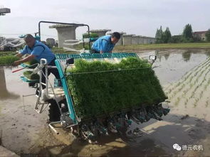 常德德元农机携久保田全系列产品助力湘西北春耕生产